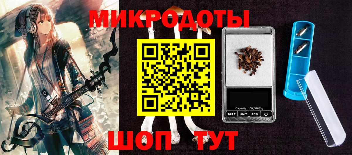 Псилоцибиновые грибы Cubensis  Вход с VPN  Петрозаводск 